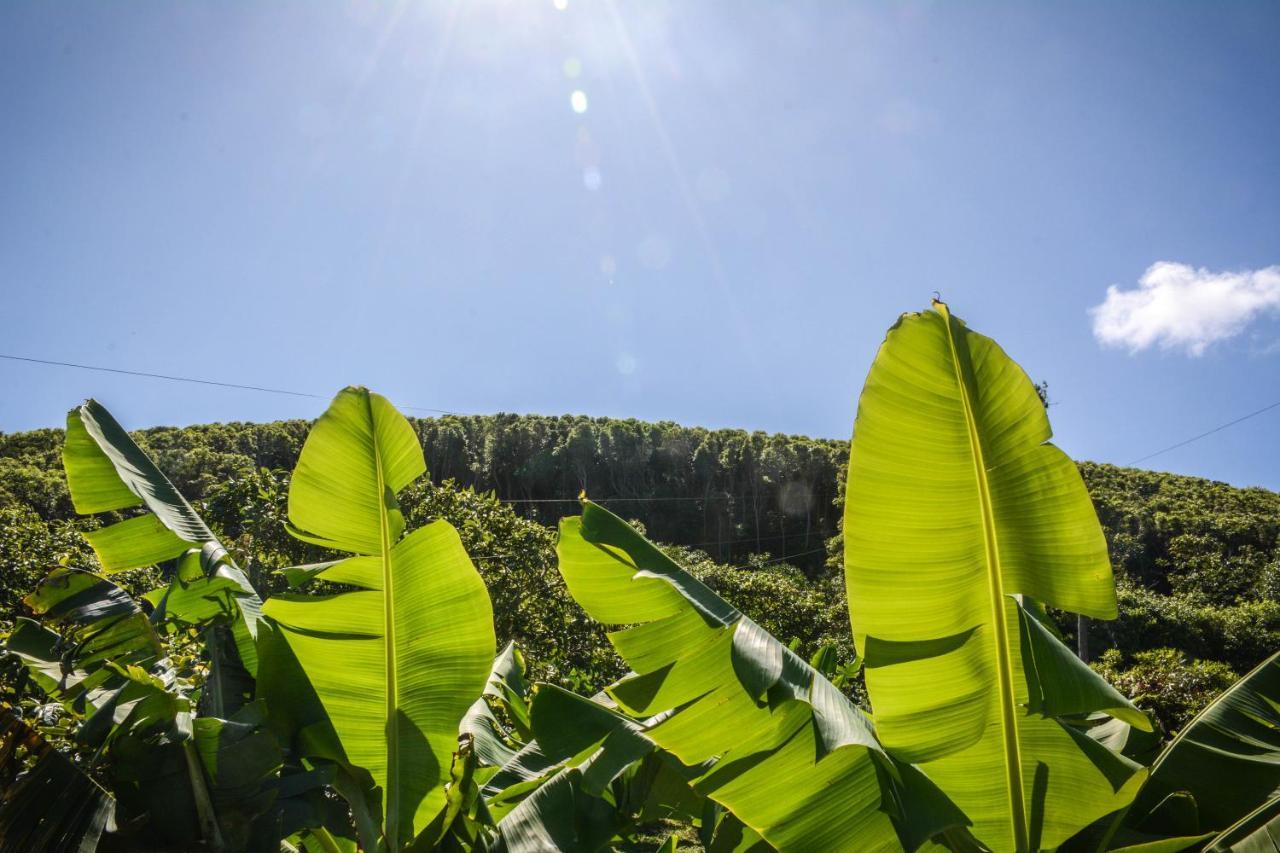 Willa Quinta Dos Frutos Santa Cruz da Graciosa Zewnętrze zdjęcie